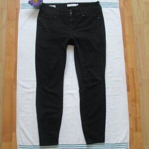TORRID JEANS Size 16 Long Black Jegging Denim